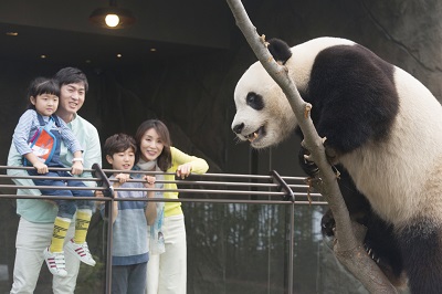 에버랜드 희귀동물 탐구교실 - 판다.jpg 에버랜드 희귀동물 탐구교실 - 판다.jpg