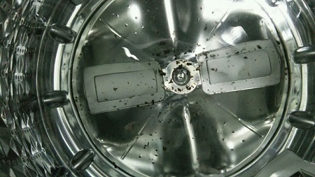 세탁기 물곰팡이.jpg 세탁기 물곰팡이.jpg