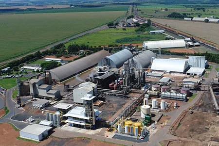 브라질 식물성 고단백 소재업체 셀렉타社 공장 전경 이미지.jpg