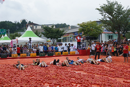 2016년 화천토마토축제에서 관광객들이 토마토풀에서 즐거운 시간을 보내고 있다..JPG