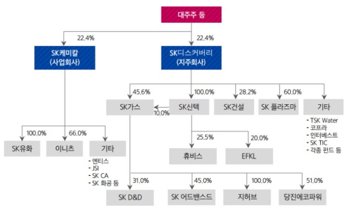크기변환_분할 후 지배구조-캡쳐.JPG