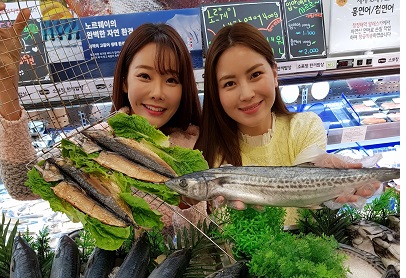 참고사진. 등푸른 생선 Festa (2).jpg