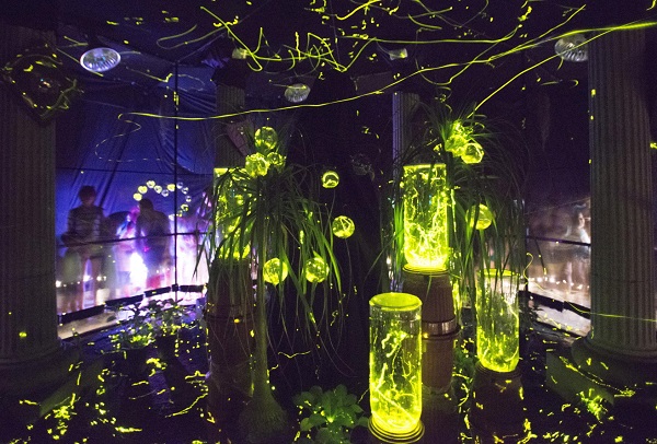 에버랜드 반딧불이 체험.jpg