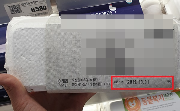 식용란1.jpg 식용란1.jpg