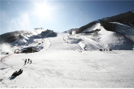 오투리조트 스키장1.jpg