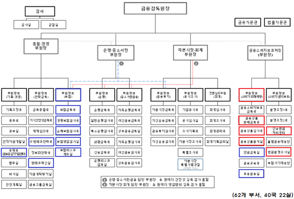 2020년 금융감독원 조직도. 빨강색이 신설된 부서, 파랑색은 소속 부문이 달라진 부서