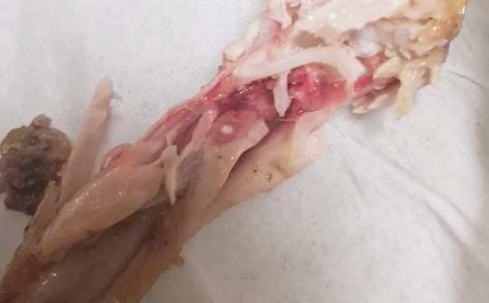 ▲치킨 붉은 속살을 두고 소비자는 덜 익었다 주장하고 업체는 핑킹현상이라 맞서며 종종 갈등을 빚고 있다.