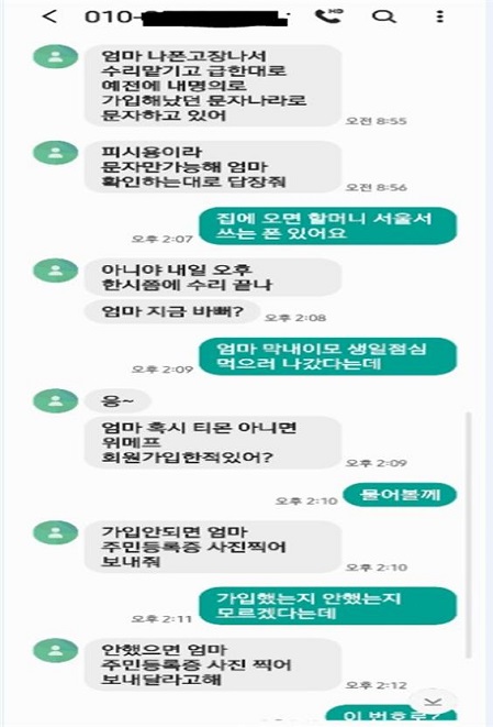 ▲ 금융감독원에 접수된 실제 피해 문자메시지 사례