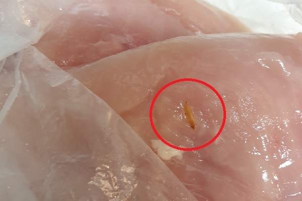 ▲닭가슴살에서 닭 사육 시 사용되는 왕겨가 발견됐다.