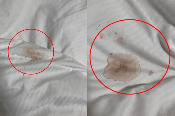 ▲김 씨가 이용한 원주 오크밸리 객실 이불의 모습