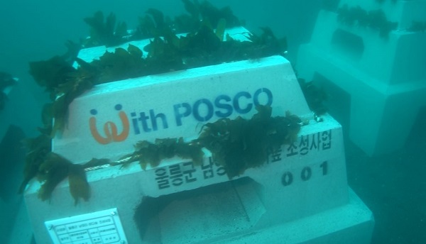 울릉도 수중에 안착된 트리톤