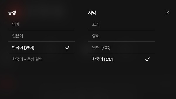▲넷플릭스 앱에서 제공하는 화면해설 기능