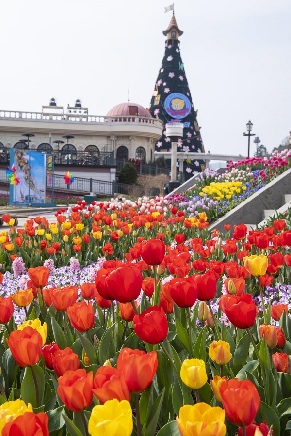 ▲ 에버랜드 '자연농원 오마주 가든'