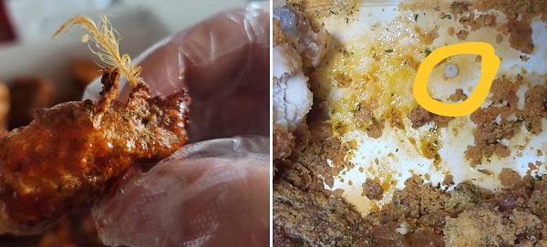 ▲치킨 닭털이 그대로 붙어 있거나 플라스틱, 머리카락, 철수세미 등이 나왔다는 소비자 불만도 상당수다.