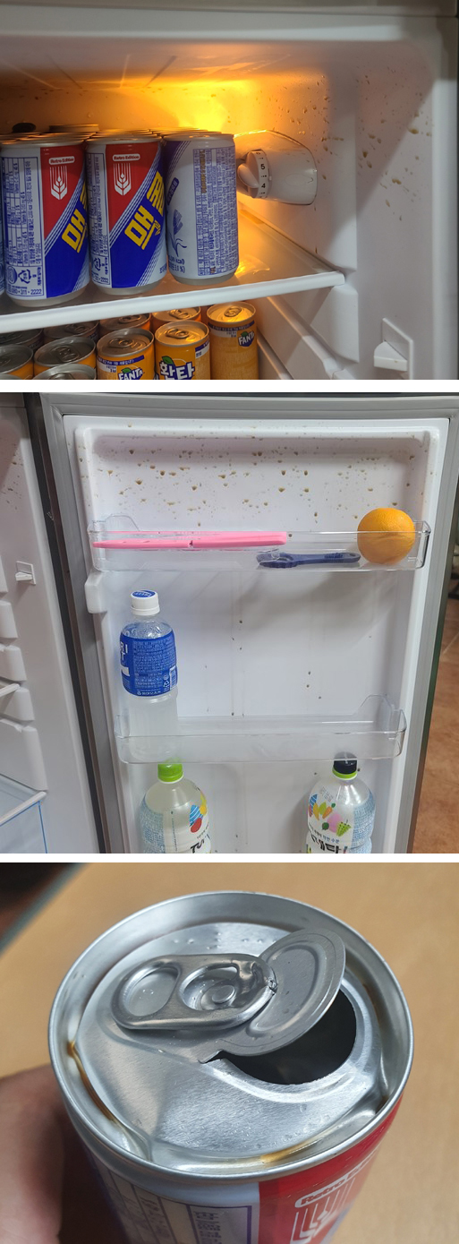 ▲강 씨는 냉장고에 보관한 맥콜 캔이 알 수 없는 이유로 터져 있었다고 주장했다.