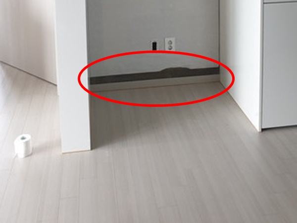 ▲이 씨 냉장고장 뒷벽에 콘크리트가 드러난 모습