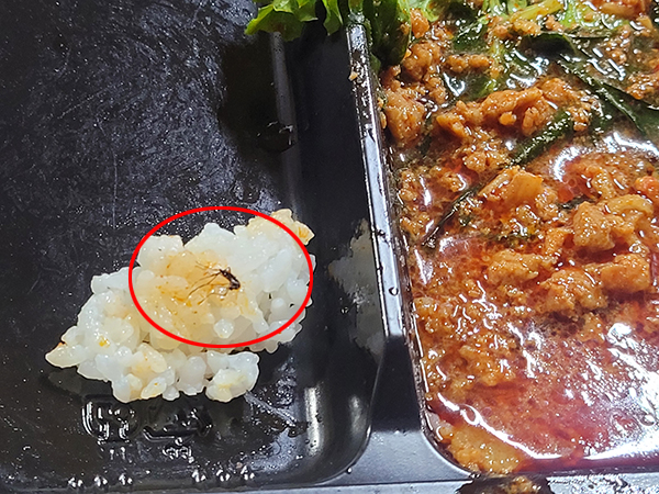 ▲ 편의점 PB 도시락에서 죽은 모기가 발견됐다.