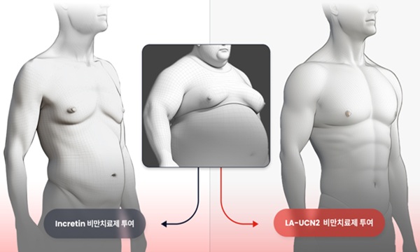 출처-한미약품, HM17321 작용