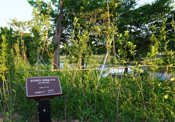 ▲한국투자증권은 2022년 대규모 산불 피해가 발생한 강원도 강릉시 옥계면 남양리에 5.3ha 규모의 '한국투자 숲'을 조성한 데 이어 지난해에도 서울 중량천에 '한국투자 생태숲'을 조성했다.