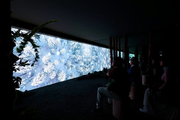 ▲보라매 공원에 설치된 디지털 치유정원에 방문한 사람들.