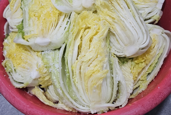 ▲주문한 절임배추가 전혀 숨죽지 않아 소비자가 다시 소금에 절여야 했다