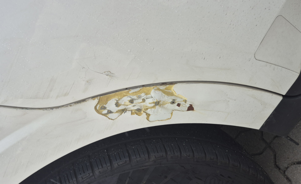 ▲수리 하기 전 발견한 판금·도장을 했던 흔적