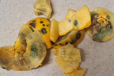 ▲테무에서 주문한 감에 곰팡이가 펴 있다. 사진=제보자