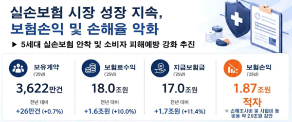▲ 자료제공: 금융감독원