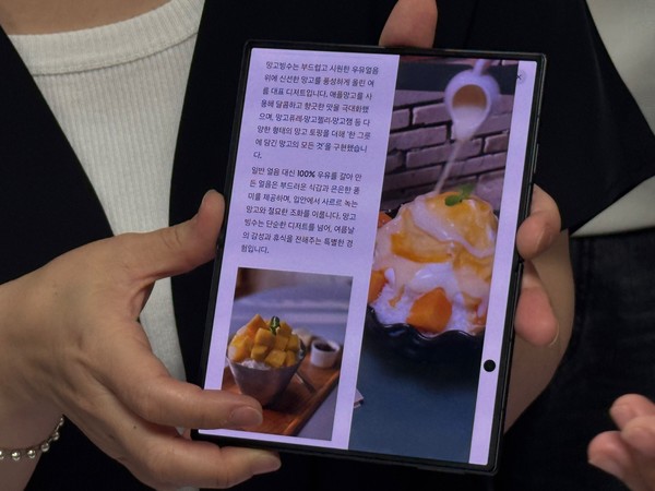 갤럭시 Z폴드8 울트라. 사진=곽지우 기자